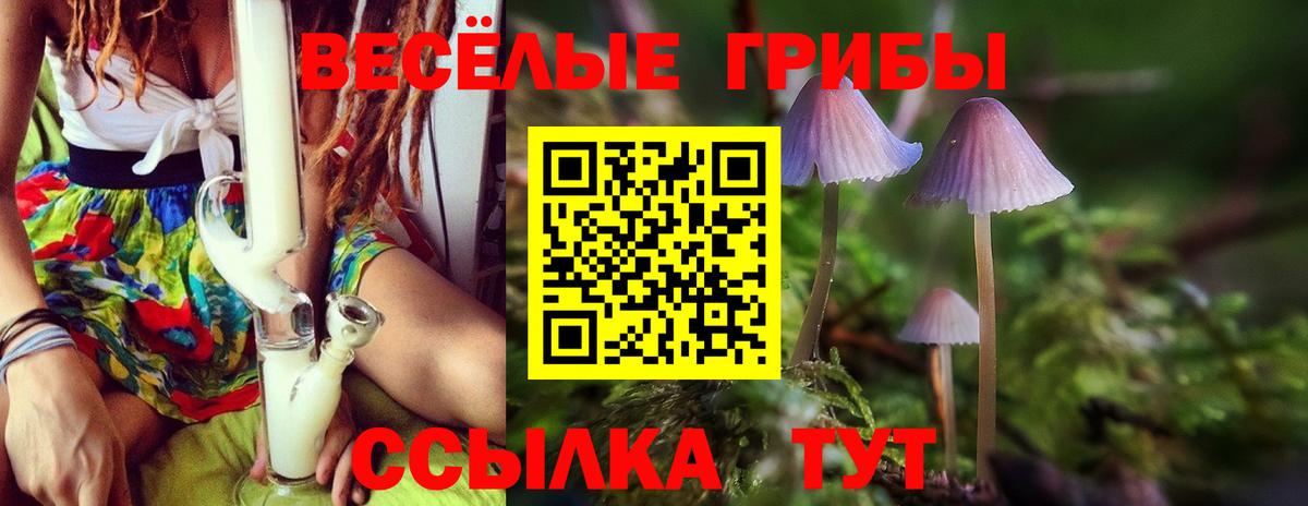 Псилоцибиновые грибы мухоморы Ленинск-Кузнецкий